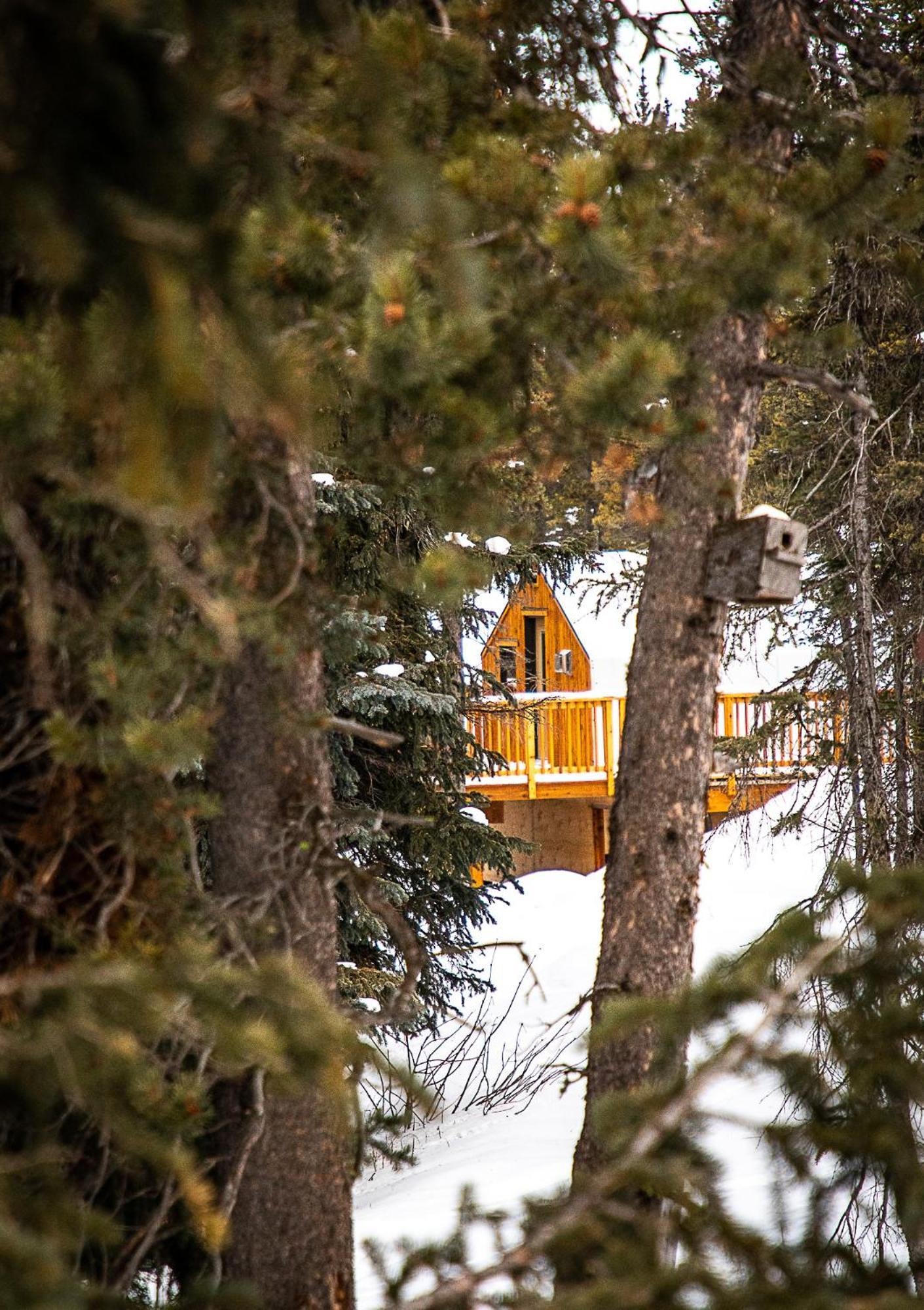 Mount Engadine Lodge Kananaskis Exterior photo